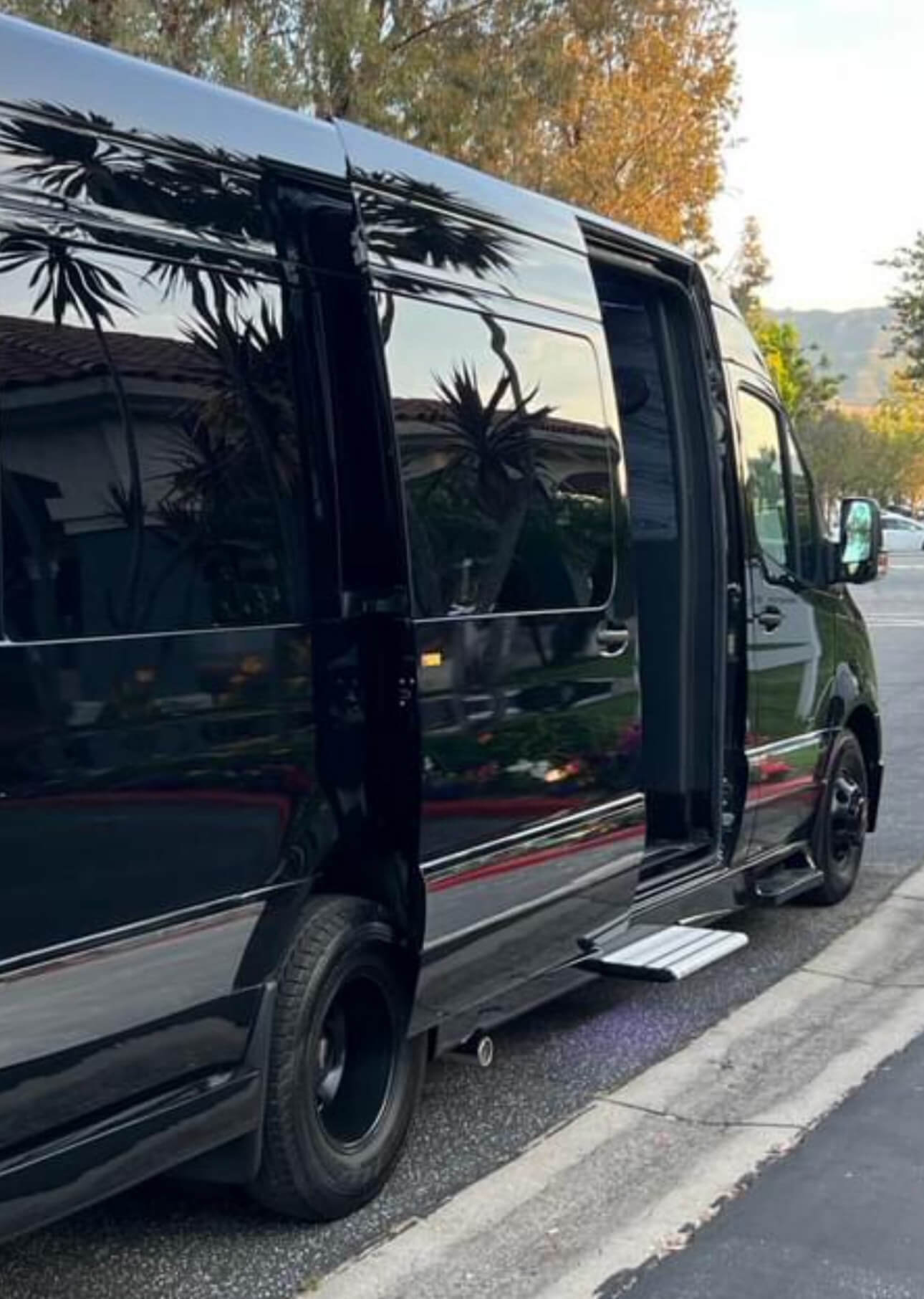 Sprinter Van