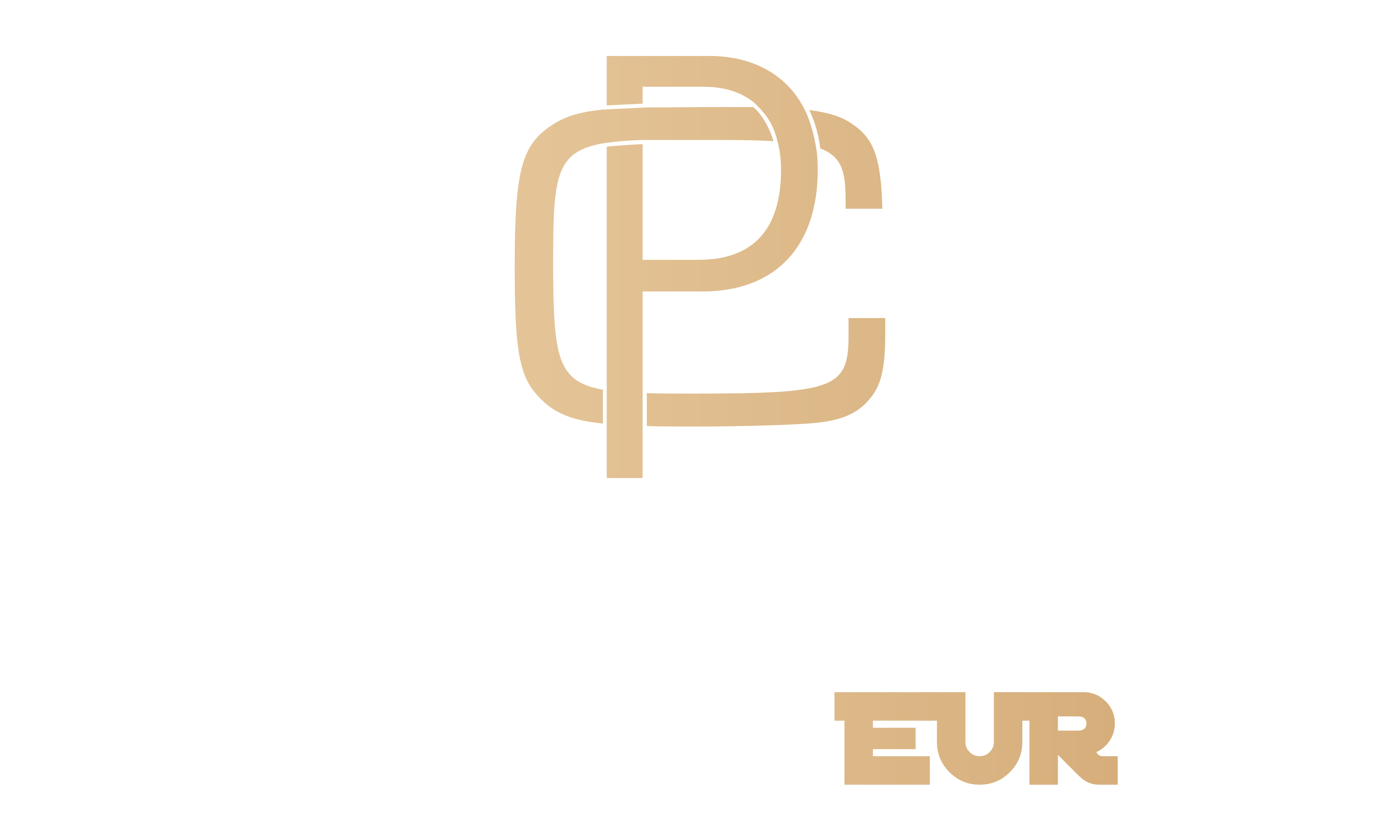 Platinum Chauffeur